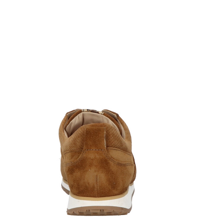 Lerora Lerora Sneaker <span>65016 4005 196</span> 196 Cognac Lerora Sneaker <span>65016 4005 196</span> 65016 4005 196 cognac - www.bremmerschoenen.pro - Bremmer Schoenen