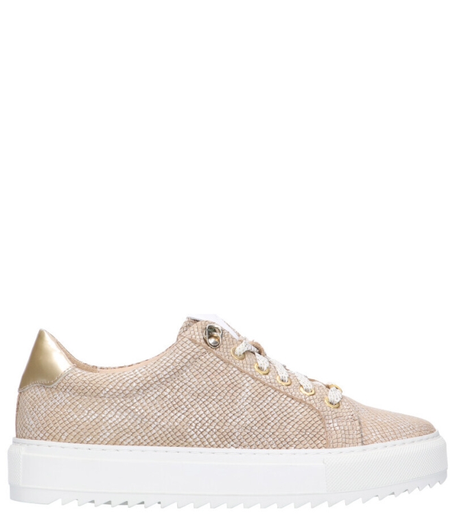 Footnotes Footnotes Sneaker <span>21.001-6337</span> 6337 Fantasy print Caramel Footnotes Sneaker <span>21.001-6337</span> 21.001-6337 beige - www.bremmerschoenen.pro - Bremmer Schoenen