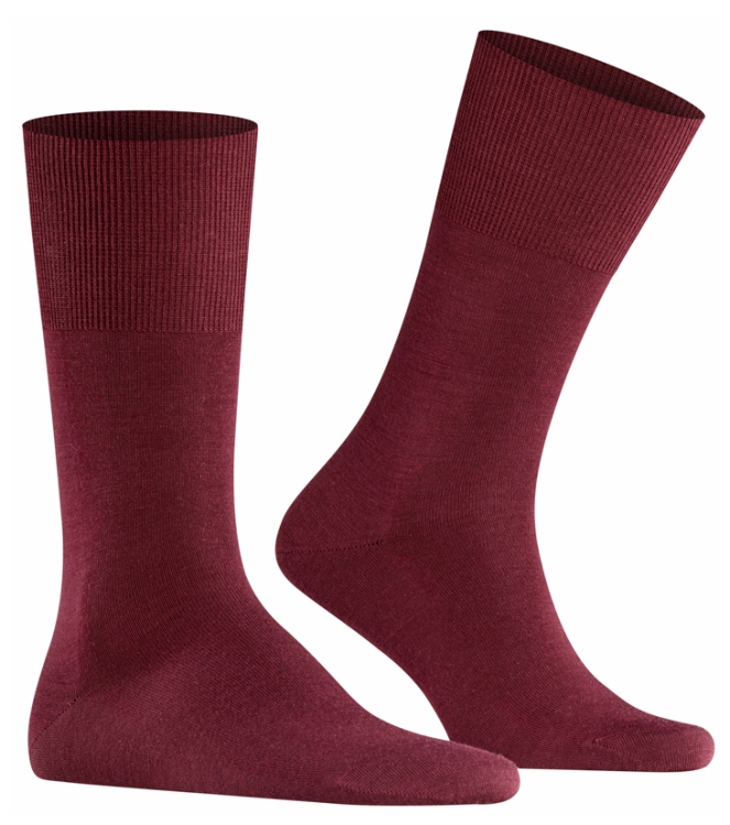 Falke Falke Airport <span>14435 8596 Airport sokken</span> Barolo Falke Airport <span>14435 8596 Airport sokken</span> 14435 8596 Airport sokken bordeaux - www.bremmerschoenen.pro - Bremmer Schoenen