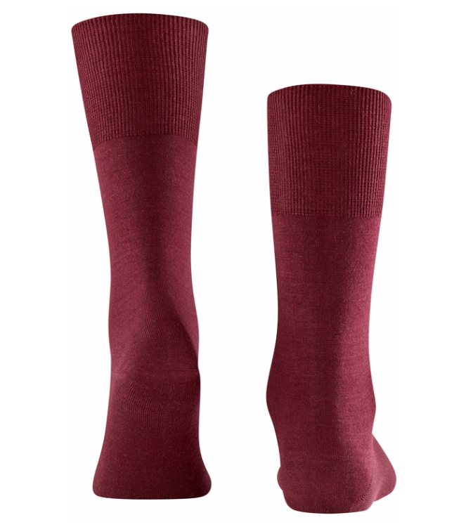 Falke Falke Airport <span>14435 8596 Airport sokken</span> Barolo Falke Airport <span>14435 8596 Airport sokken</span> 14435 8596 Airport sokken bordeaux - www.bremmerschoenen.pro - Bremmer Schoenen