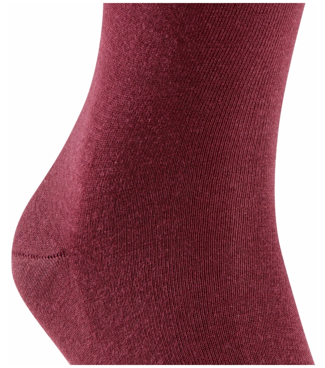 Falke Falke Airport <span>14435 8596 Airport sokken</span> Barolo Falke Airport <span>14435 8596 Airport sokken</span> 14435 8596 Airport sokken bordeaux - www.bremmerschoenen.pro - Bremmer Schoenen