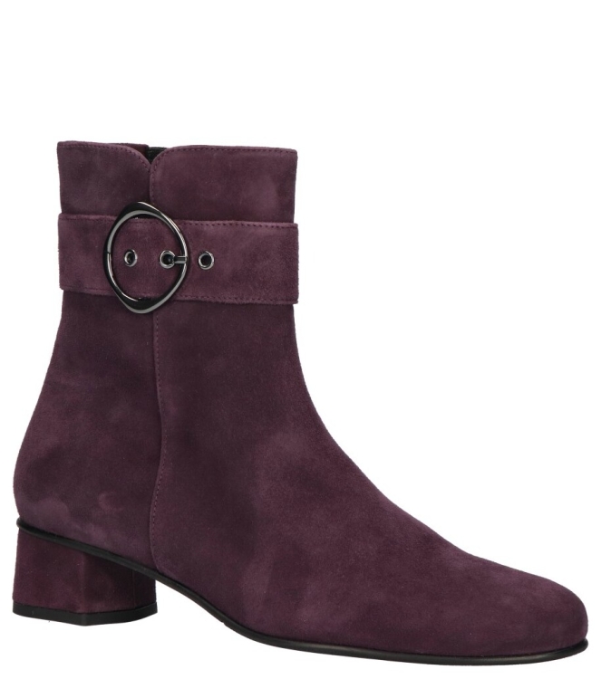 Hassia Hassia Enkellaars <span>303095 8100 Siena</span> 8100 plum Hassia Enkellaars <span>303095 8100 Siena</span> 303095 8100 Siena paars - www.bremmerschoenen.pro - Bremmer Schoenen