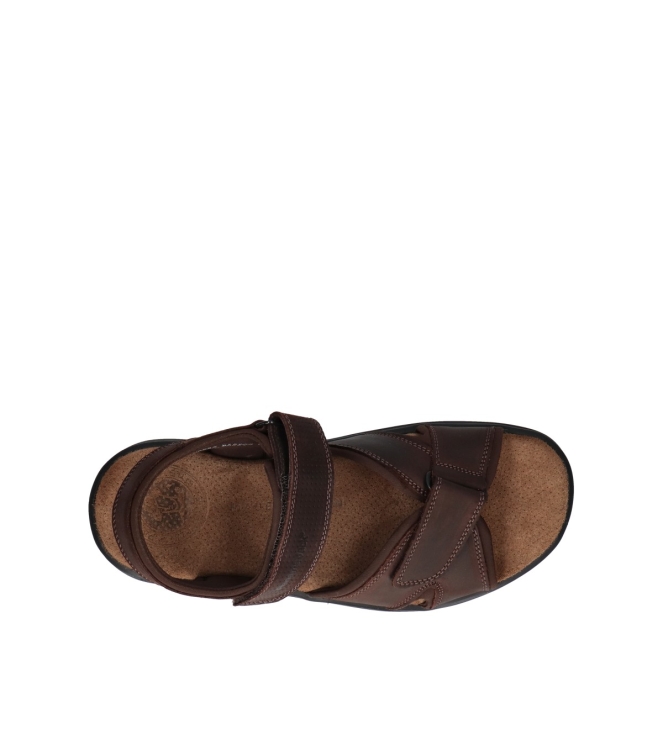 Panama Jack Panama Jack sandalen <span>Sanders Basics C1</span> C1 Napa Grass Marron/Brown Panama Jack sandalen <span>Sanders Basics C1</span> Sanders Basics C1 bruin - www.bremmerschoenen.pro - Bremmer Schoenen