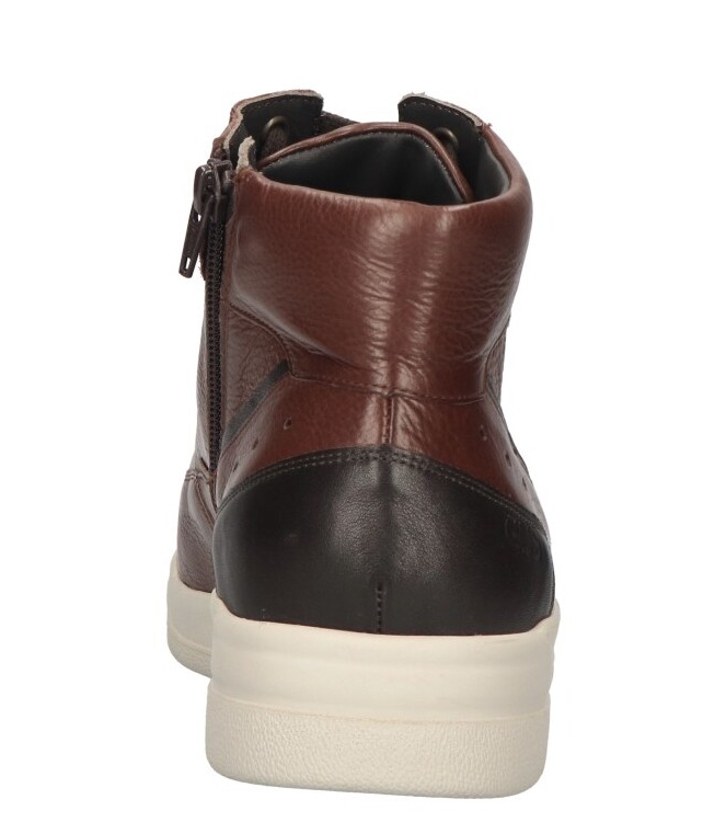 Gijs Gijs sneaker <span>2140 208 1239</span> 1239 bruin Gijs sneaker <span>2140 208 1239</span> 2140 208 1239 cognac - www.bremmerschoenen.pro - Bremmer Schoenen