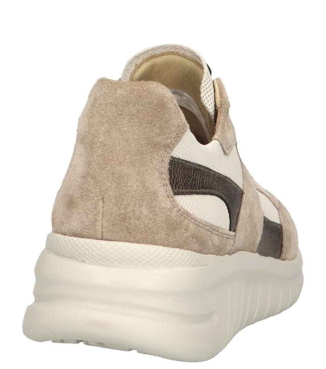 Hartjes Hartjes sneaker <span>162.2402 26/32 Wave</span> 26/32 Birke beige Hartjes sneaker <span>162.2402 26/32 Wave</span> 162.2402 26/32 Wave beige - www.bremmerschoenen.pro - Bremmer Schoenen