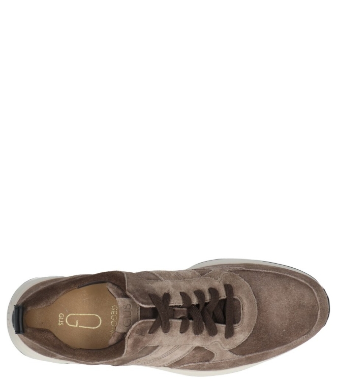 Gijs Gijs sneaker <span>2120 902 0731</span> 0731 bruin Gijs sneaker <span>2120 902 0731</span> 2120 902 0731 bruin - www.bremmerschoenen.pro - Bremmer Schoenen