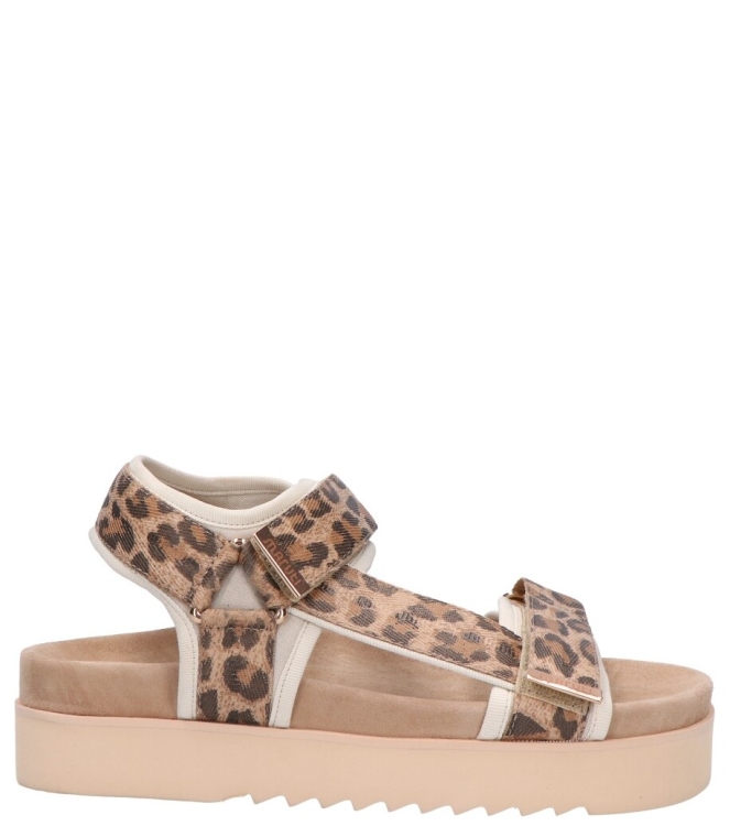 Maruti Maruti sandaal <span>66.1653.01 DJN Beau</span> DJN leopard brown Maruti sandaal <span>66.1653.01 DJN Beau</span> 66.1653.01 DJN Beau cognac - www.bremmerschoenen.pro - Bremmer Schoenen