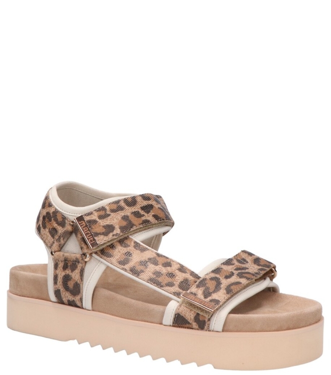Maruti Maruti sandaal <span>66.1653.01 DJN Beau</span> DJN leopard brown Maruti sandaal <span>66.1653.01 DJN Beau</span> 66.1653.01 DJN Beau cognac - www.bremmerschoenen.pro - Bremmer Schoenen