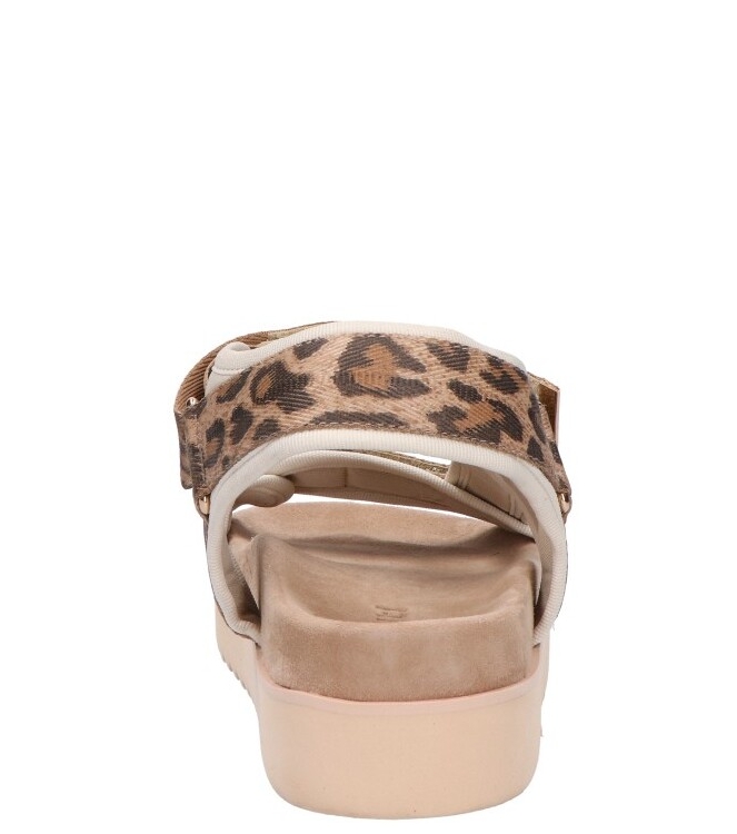 Maruti Maruti sandaal <span>66.1653.01 DJN Beau</span> DJN leopard brown Maruti sandaal <span>66.1653.01 DJN Beau</span> 66.1653.01 DJN Beau cognac - www.bremmerschoenen.pro - Bremmer Schoenen