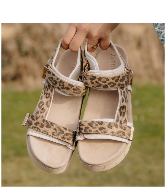 Maruti Maruti sandaal <span>66.1653.01 DJN Beau</span> DJN leopard brown Maruti sandaal <span>66.1653.01 DJN Beau</span> 66.1653.01 DJN Beau cognac - www.bremmerschoenen.pro - Bremmer Schoenen