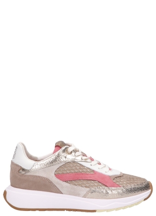 Floris van Bommel
