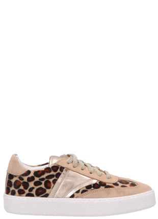 Aqa