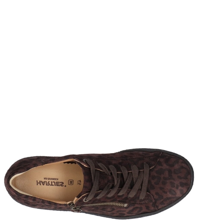 Hartjes Sneaker <span>162.1402 77/00 Phil</span> 162.1402 77/00 Phil bruin - www.bremmerschoenen.pro - Bremmer Schoenen