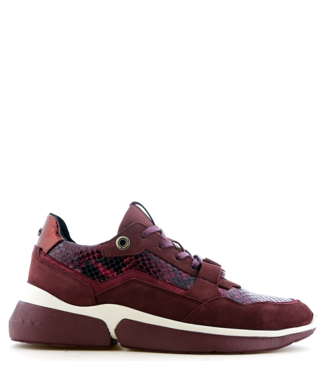 Floris van Bommel Floris van Bommel sneaker <span>85291/02</span> Bordo Floris van Bommel sneaker <span>85291/02</span> 85291/02 bordeaux - www.bremmerschoenen.pro - Bremmer Schoenen