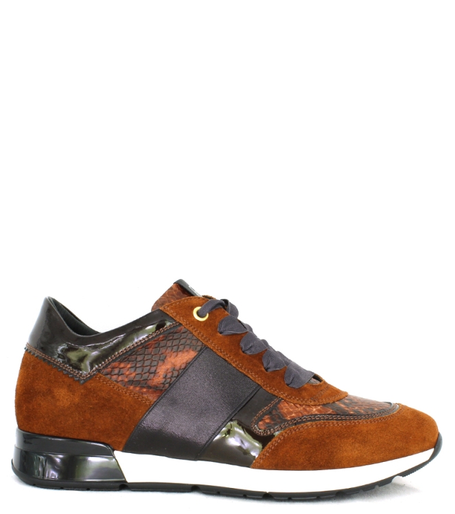 DL-sport sneaker <span>4439 versione 21</span> 4439 versione 21 bruin - www.bremmerschoenen.pro - Bremmer Schoenen