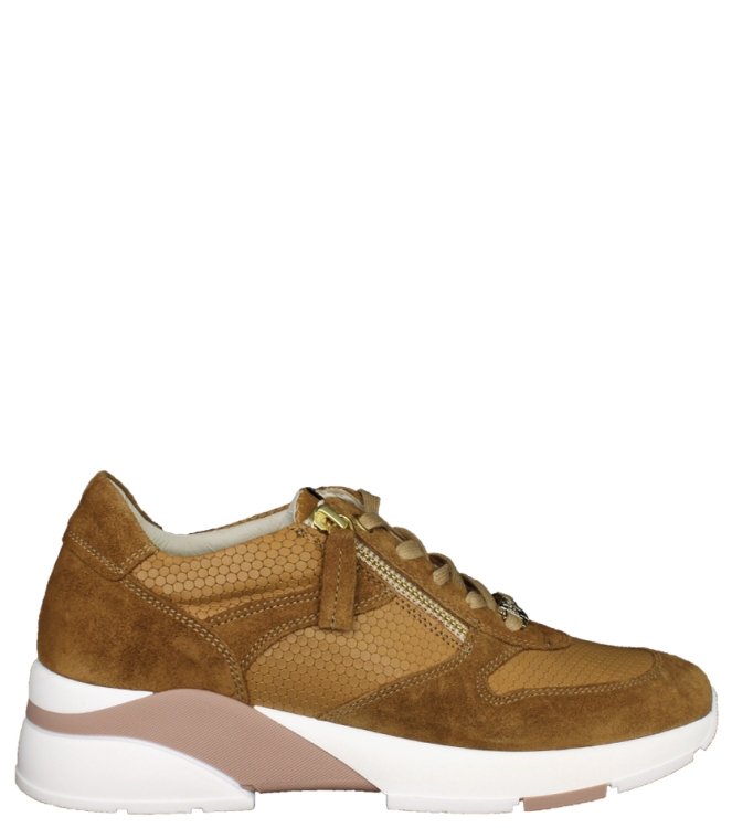DL-Sport DL-Sport sneaker <span>4638 versione 03 velour cognac</span> cognac DL-Sport sneaker <span>4638 versione 03 velour cognac</span> 4638 versione 03 velour cognac cognac - www.bremmerschoenen.pro - Bremmer Schoenen