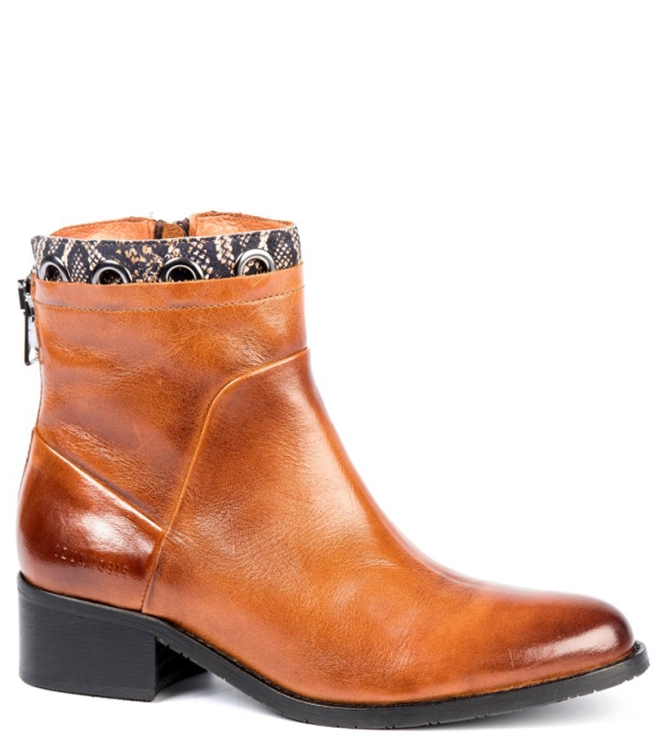 Piedi Nudi Piedi Nudi enkellaars <span>2270.01.05</span> cognac Piedi Nudi enkellaars <span>2270.01.05</span> 2270.01.05 cognac - www.bremmerschoenen.pro - Bremmer Schoenen